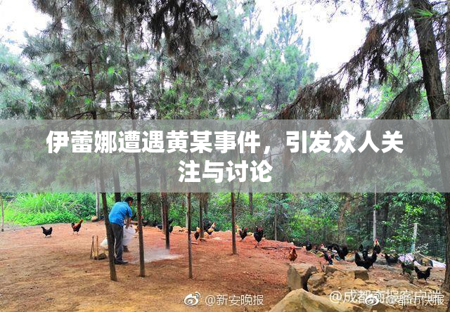伊蕾娜遭遇黄某事件，引发众人关注与讨论