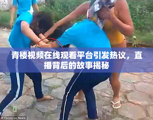 青楼视频在线观看平台引发热议，直播背后的故事揭秘