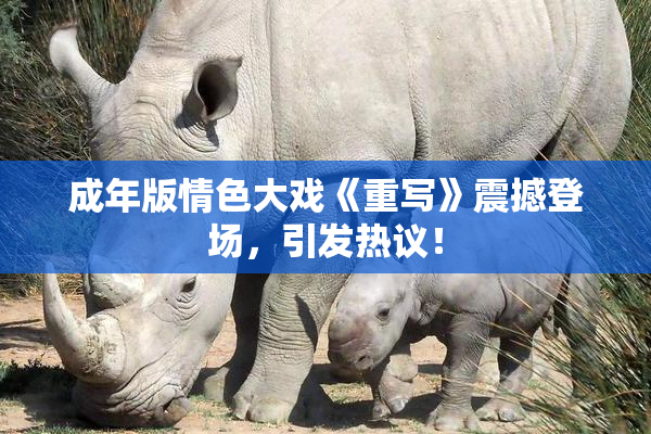 成年版情色大戏《重写》震撼登场，引发热议！
