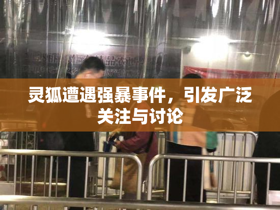 灵狐遭遇强暴事件，引发广泛关注与讨论