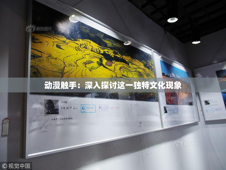 动漫触手：深入探讨这一独特文化现象