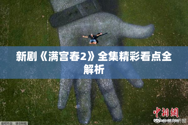 新剧《满宫春2》全集精彩看点全解析