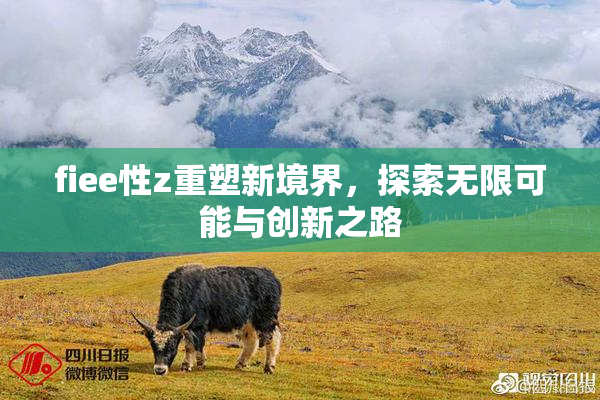fiee性z重塑新境界，探索无限可能与创新之路