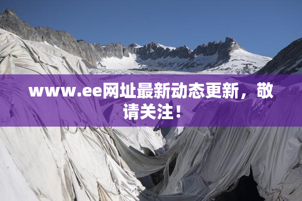 www.ee网址最新动态更新，敬请关注！