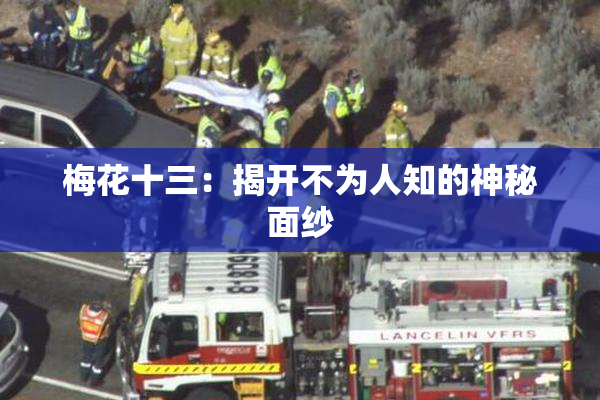 梅花十三：揭开不为人知的神秘面纱