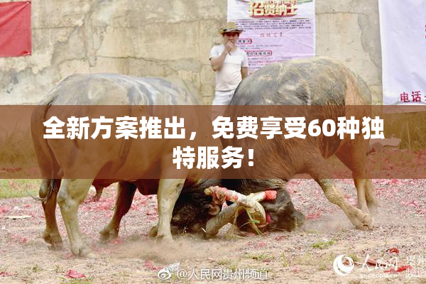 全新方案推出，免费享受60种独特服务！