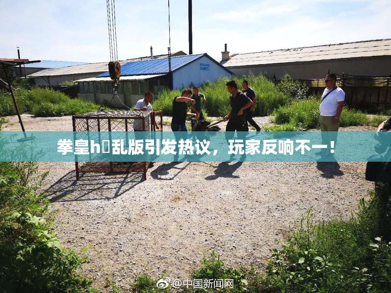 拳皇h婬乱版引发热议，玩家反响不一！