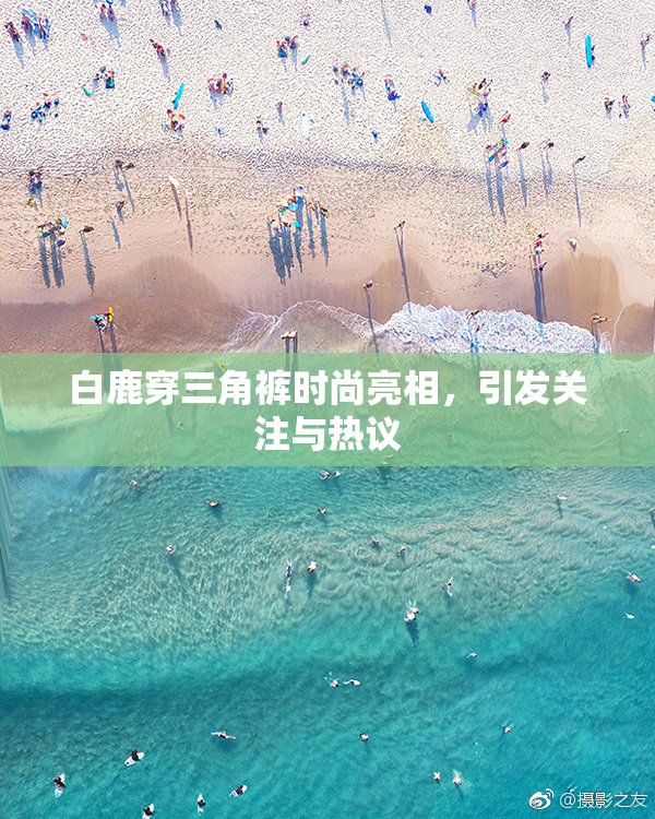 白鹿穿三角裤时尚亮相，引发关注与热议