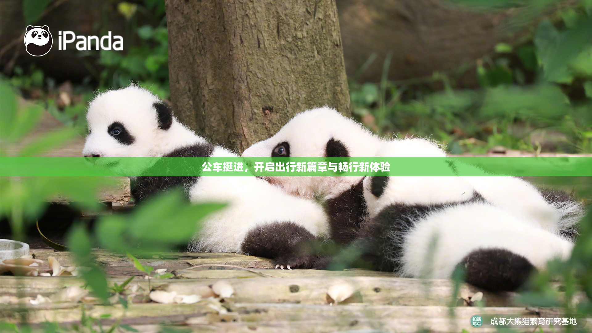 公车挺进，开启出行新篇章与畅行新体验