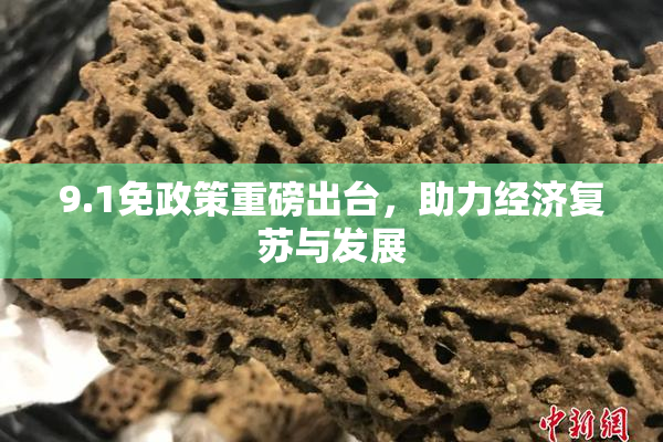 9.1免政策重磅出台，助力经济复苏与发展