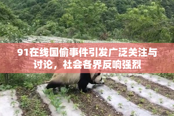 91在线国偷事件引发广泛关注与讨论，社会各界反响强烈