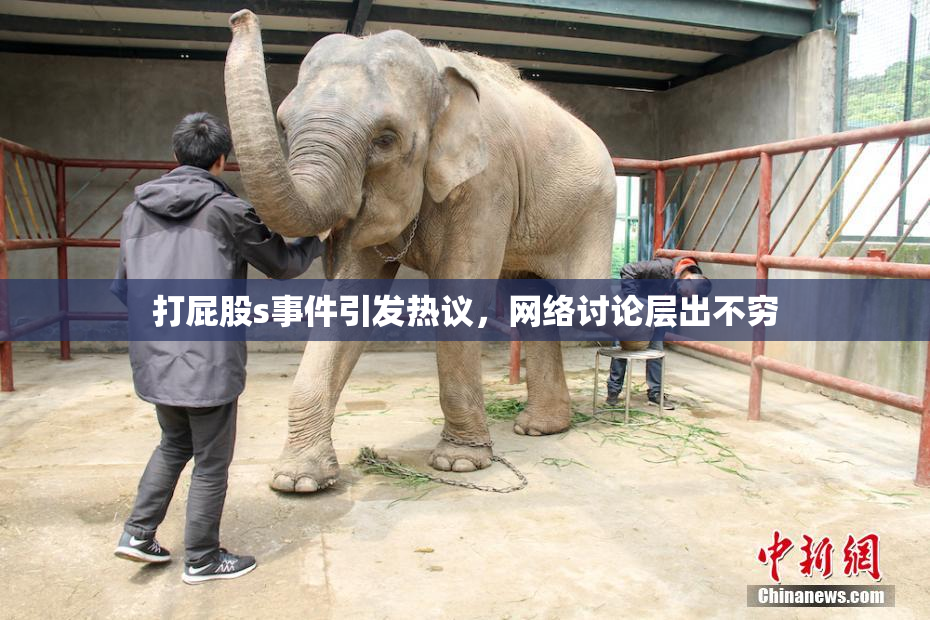 打屁股s事件引发热议，网络讨论层出不穷