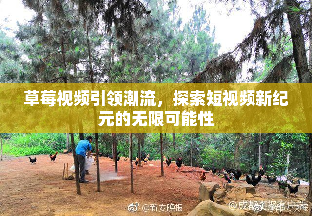 草莓视频引领潮流，探索短视频新纪元的无限可能性