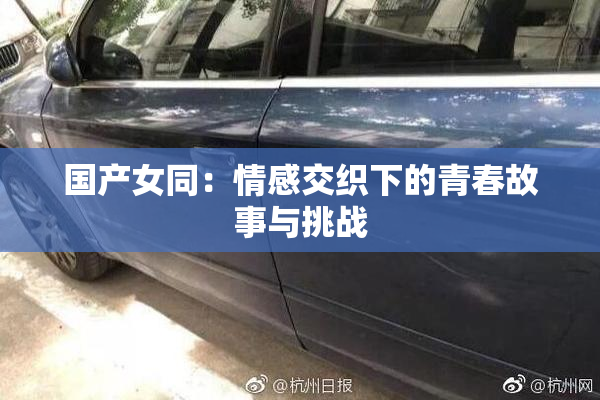 国产女同：情感交织下的青春故事与挑战
