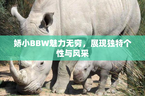 娇小BBW魅力无穷，展现独特个性与风采