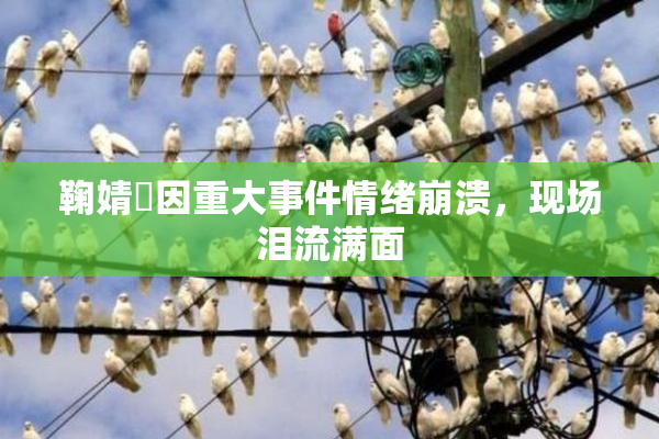 鞠婧祎因重大事件情绪崩溃，现场泪流满面