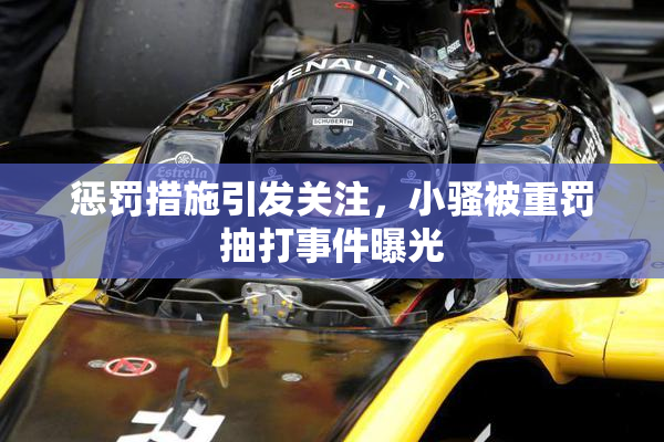 惩罚措施引发关注，小骚被重罚抽打事件曝光