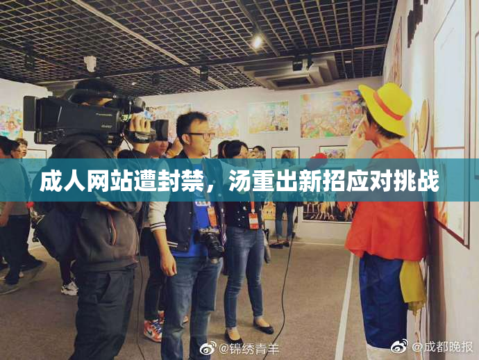 成人网站遭封禁，汤重出新招应对挑战
