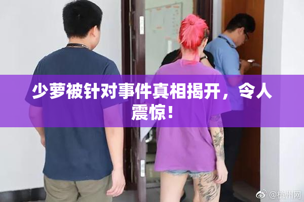 少萝被针对事件真相揭开，令人震惊！