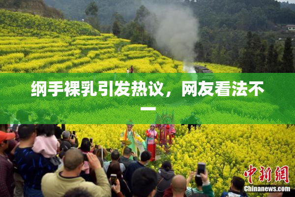 纲手裸乳引发热议，网友看法不一