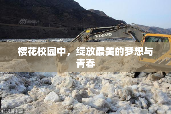 樱花校园中，绽放最美的梦想与青春