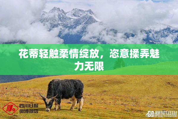 花蒂轻触柔情绽放，恣意揉弄魅力无限