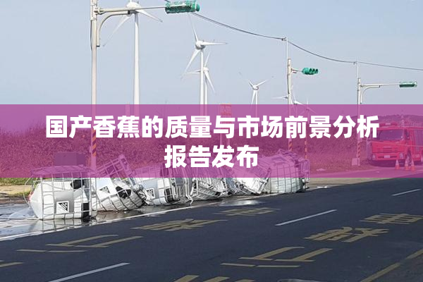 国产香蕉的质量与市场前景分析报告发布
