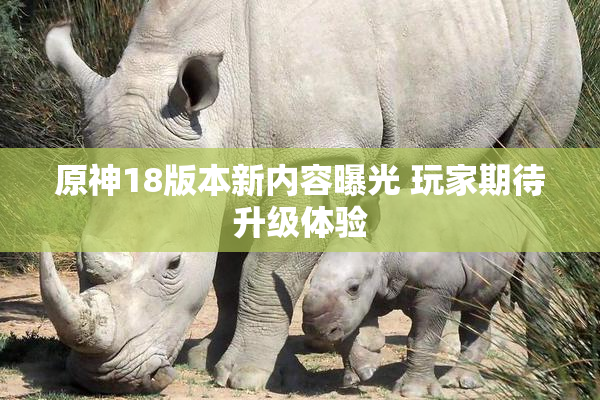 原神18版本新内容曝光 玩家期待升级体验