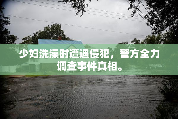 少妇洗澡时遭遇侵犯，警方全力调查事件真相。