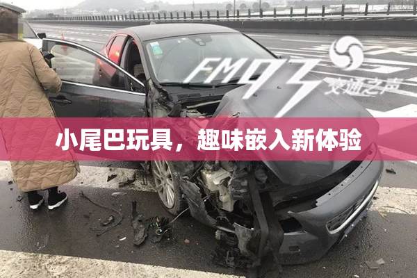 小尾巴玩具，趣味嵌入新体验