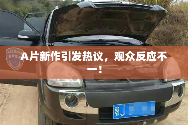 A片新作引发热议，观众反应不一！