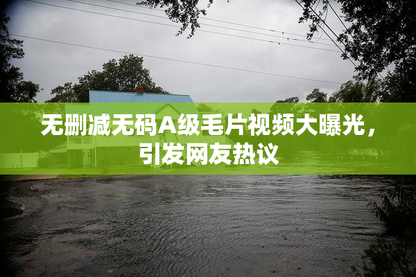 无删减无码A级毛片视频大曝光，引发网友热议