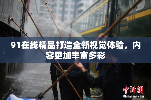 91在线精品打造全新视觉体验，内容更加丰富多彩