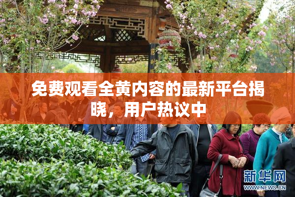 免费观看全黄内容的最新平台揭晓，用户热议中