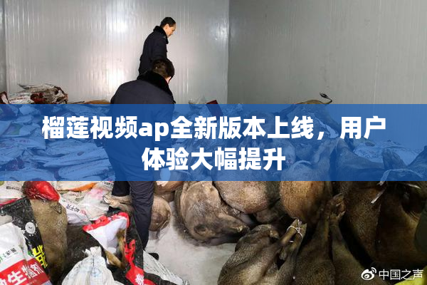 榴莲视频ap全新版本上线，用户体验大幅提升