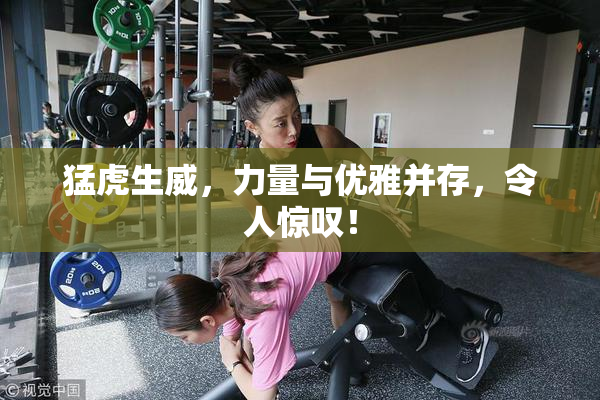 猛虎生威，力量与优雅并存，令人惊叹！