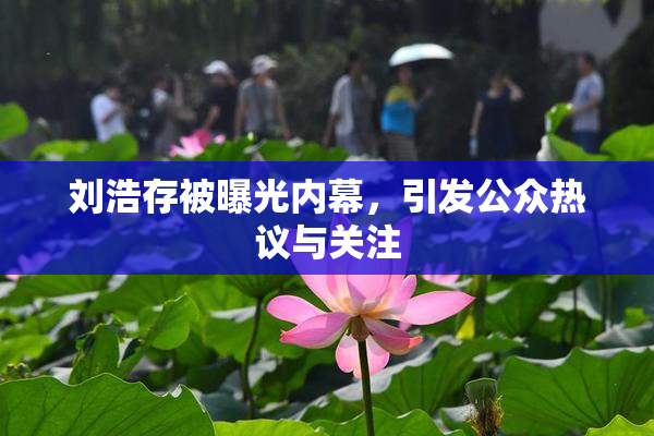 刘浩存被曝光内幕，引发公众热议与关注