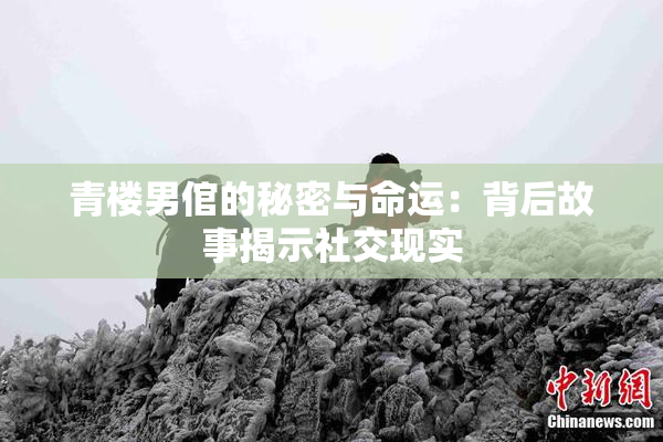 青楼男倌的秘密与命运：背后故事揭示社交现实