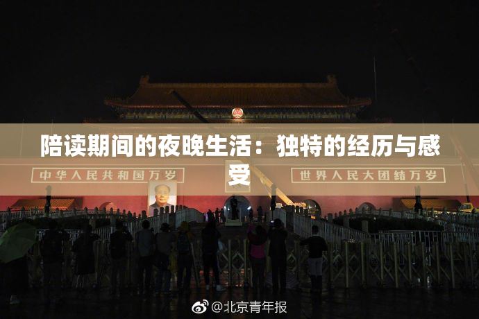 陪读期间的夜晚生活：独特的经历与感受