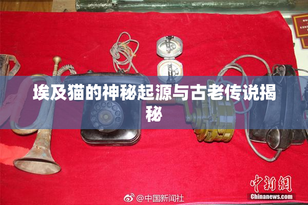 埃及猫的神秘起源与古老传说揭秘