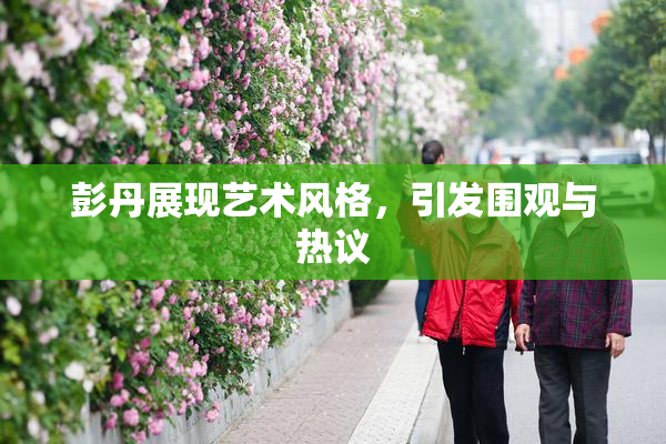 彭丹展现艺术风格，引发围观与热议