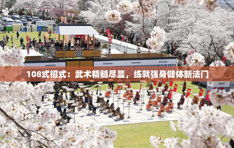 108式招式：武术精髓尽显，练就强身健体新法门