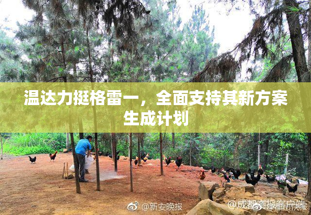 温达力挺格雷一，全面支持其新方案生成计划