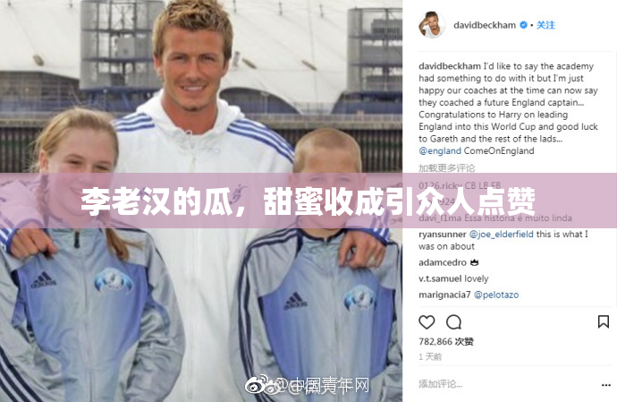 李老汉的瓜，甜蜜收成引众人点赞