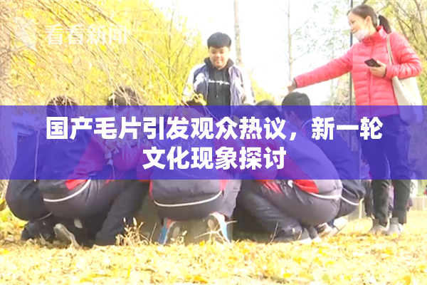 国产毛片引发观众热议，新一轮文化现象探讨