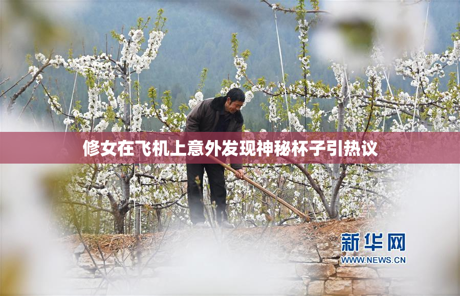 修女在飞机上意外发现神秘杯子引热议