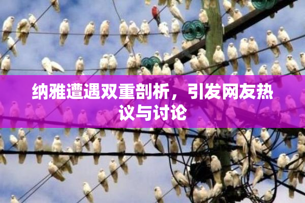 纳雅遭遇双重剖析，引发网友热议与讨论