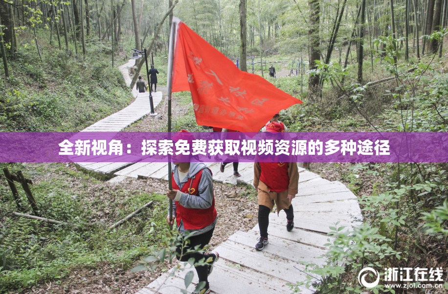 全新视角：探索免费获取视频资源的多种途径