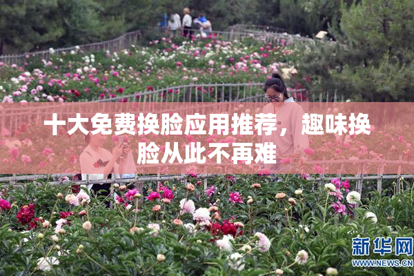 十大免费换脸应用推荐，趣味换脸从此不再难