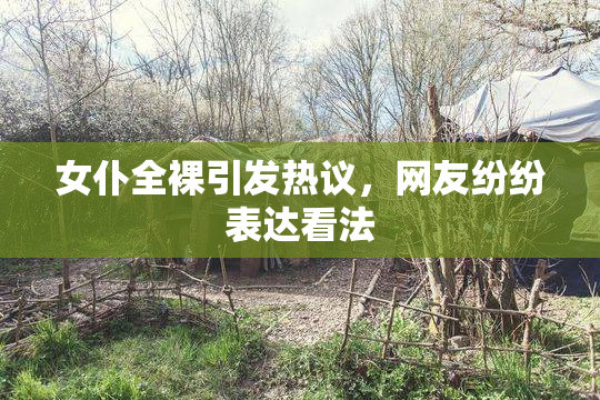 女仆全裸引发热议，网友纷纷表达看法